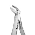 Angled view of Power Ash F4P lower anterior atraumatic extraction forceps with standard handle – SKU 4977N