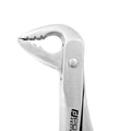 Detailed view of standard serrated beaks on Power Ash F4P lower anterior extraction forceps – SKU 4977N