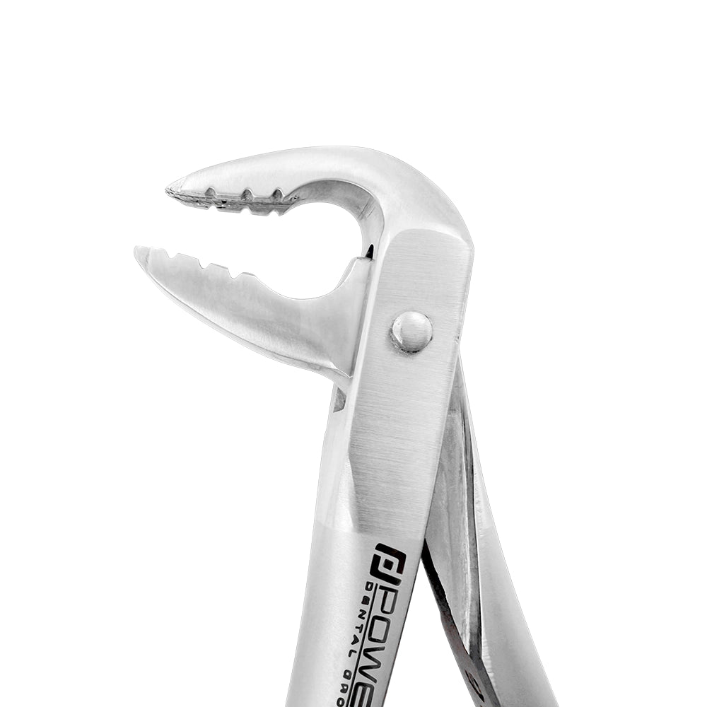 Close-up of standard beaks on Power Ash F4P lower anterior atraumatic extraction forceps – SKU 4977N