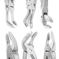 Close-up of the Power atraumatic extraction forceps working ends, standard-handle kit – SKU 9006-BAFO