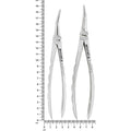 Power Root Extraction Forceps Kit size reference showing two forceps: 18.5 cm (4994T) and 19.2 cm (4997T).