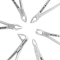 Alternate view of the compact-handle Power Universal atraumatic extraction forceps kit, set of 6 – SKU 5040