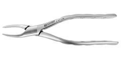 EXTRACTION FORCEPS AMERICAN 69 UP/LOWER FRAGMENT