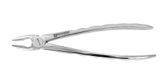 EXTRACTION FORCEPS ENGLISH 2 UPPER BICUSBIDS