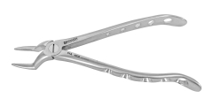 EXTRACTION FORCEPS ENGLISH 51A UPPER ROOT