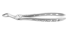 EXTRACTION FORCEPS ENGLISH 67AF UPPER WISDOM
