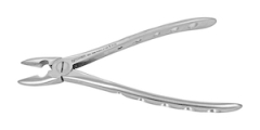 EXTRACTION FORCEPS ENGLISH MD1 UPPER WISDOM