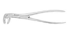 X EXTRACTION FORCEPS SPECIAL MOLAR 22 L