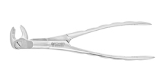 X EXTRACTION FORCEPS SPECIAL MOLAR 22 R