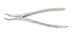 EXTRACTION FORCEPS F19 LOWER ROOT