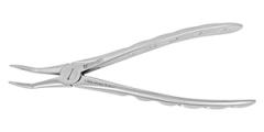 LOWER ROOT TIP EXTRACTION FORCEP - F19