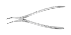EXTRACTION FORCEPS 46XL LOWER ROOT