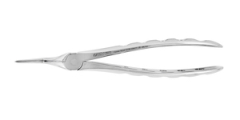 EXTRACTION FORCEPS. SPECIAL ROOT 51SR.