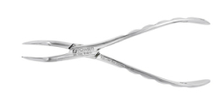 EXTRACTION FORCEPS 301 LOWER ROOT